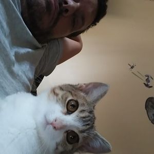 Meet your Posher, Brian